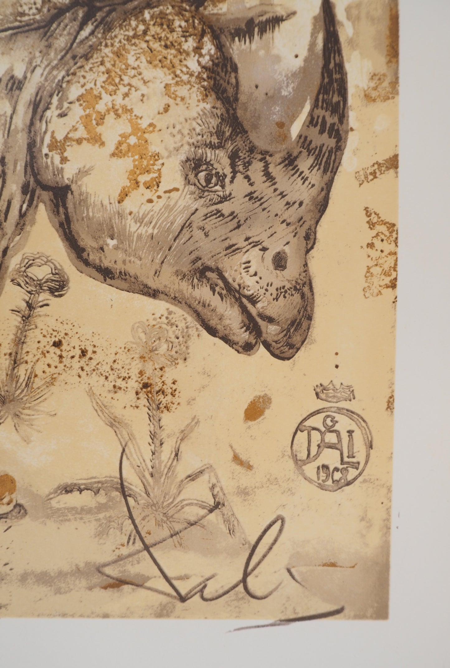 Salvador DALI: Rinoceronte, homenaje a Alberto Durero - Litografía firmada