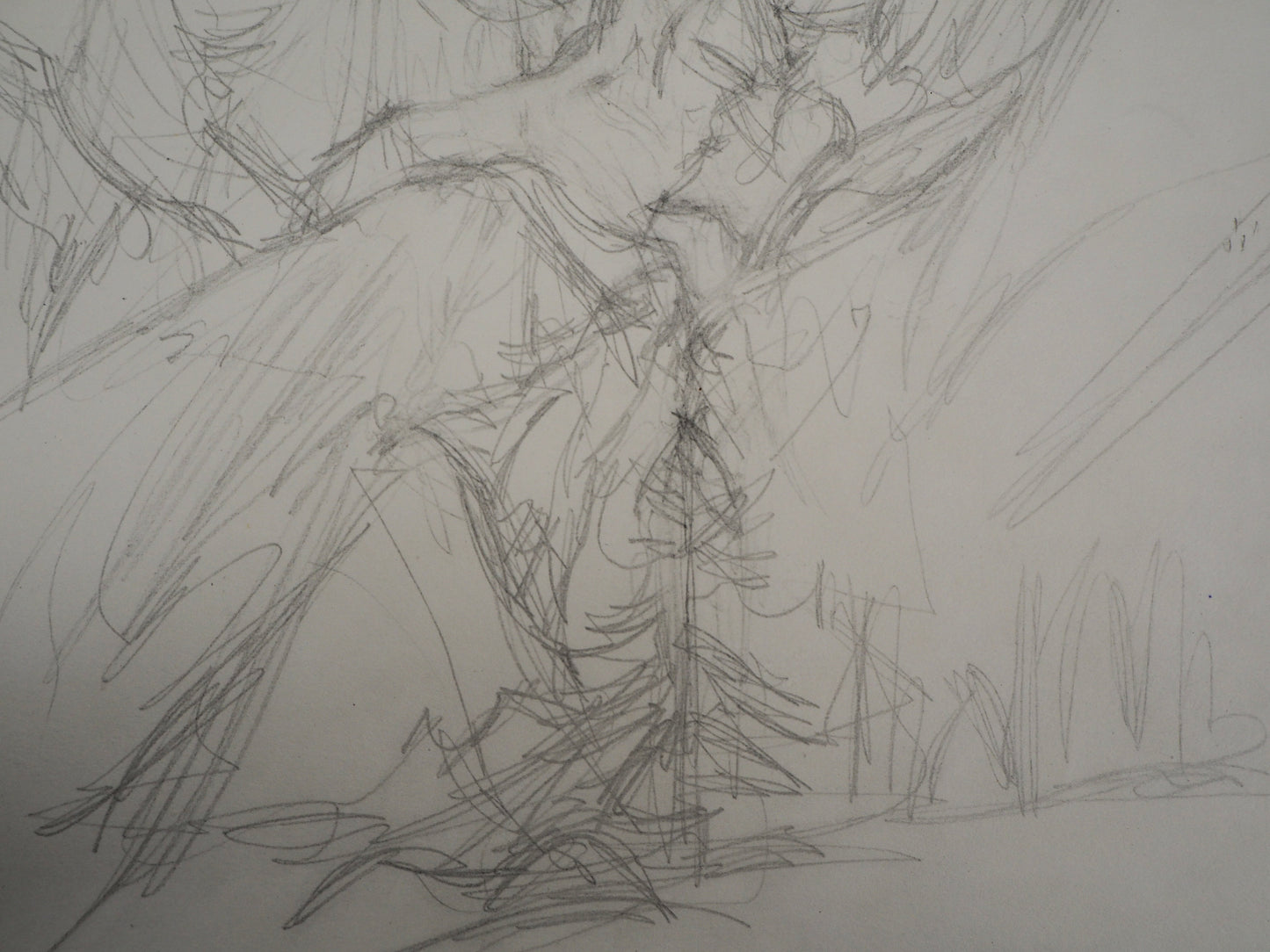 Alberto GIACOMETTI : Paysage - Lithographie signée