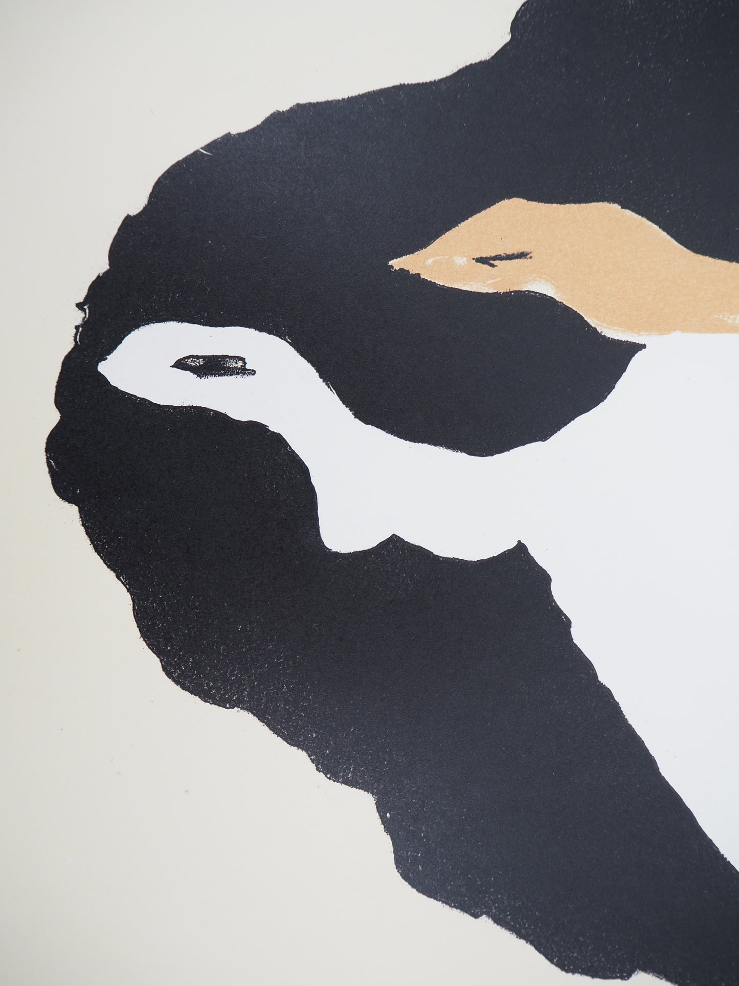 Georges BRAQUE : Les Colombes - Lithographie signée