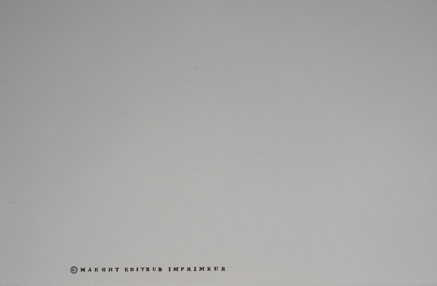 Vassily KANDINSKY : Der Blaue Reiter - Lithographie en couleurs