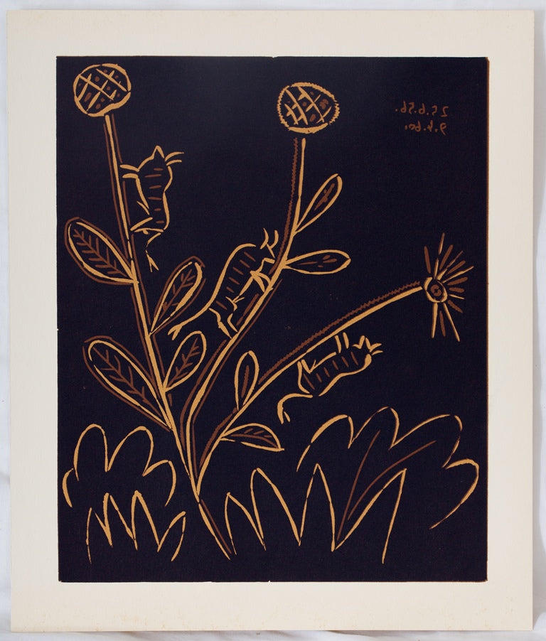 Pablo PICASSO : Plante aux toritos - Linogravure
