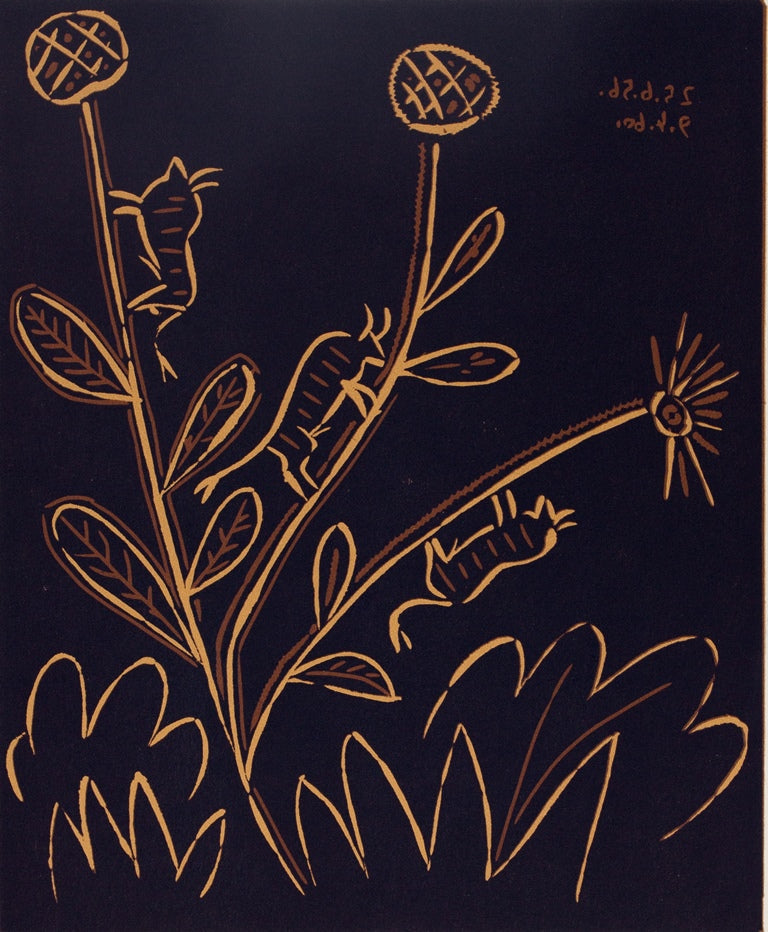 Pablo PICASSO : Plante aux toritos - Linogravure