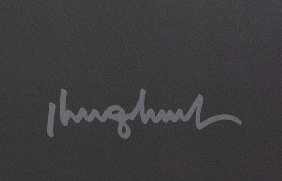 Philippe GELUCK : Le chat au Musée Soulages - Affiche originale signée