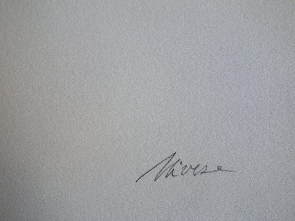 Oscari NIVESE : Pans sculptés - Sérigraphie originale signée