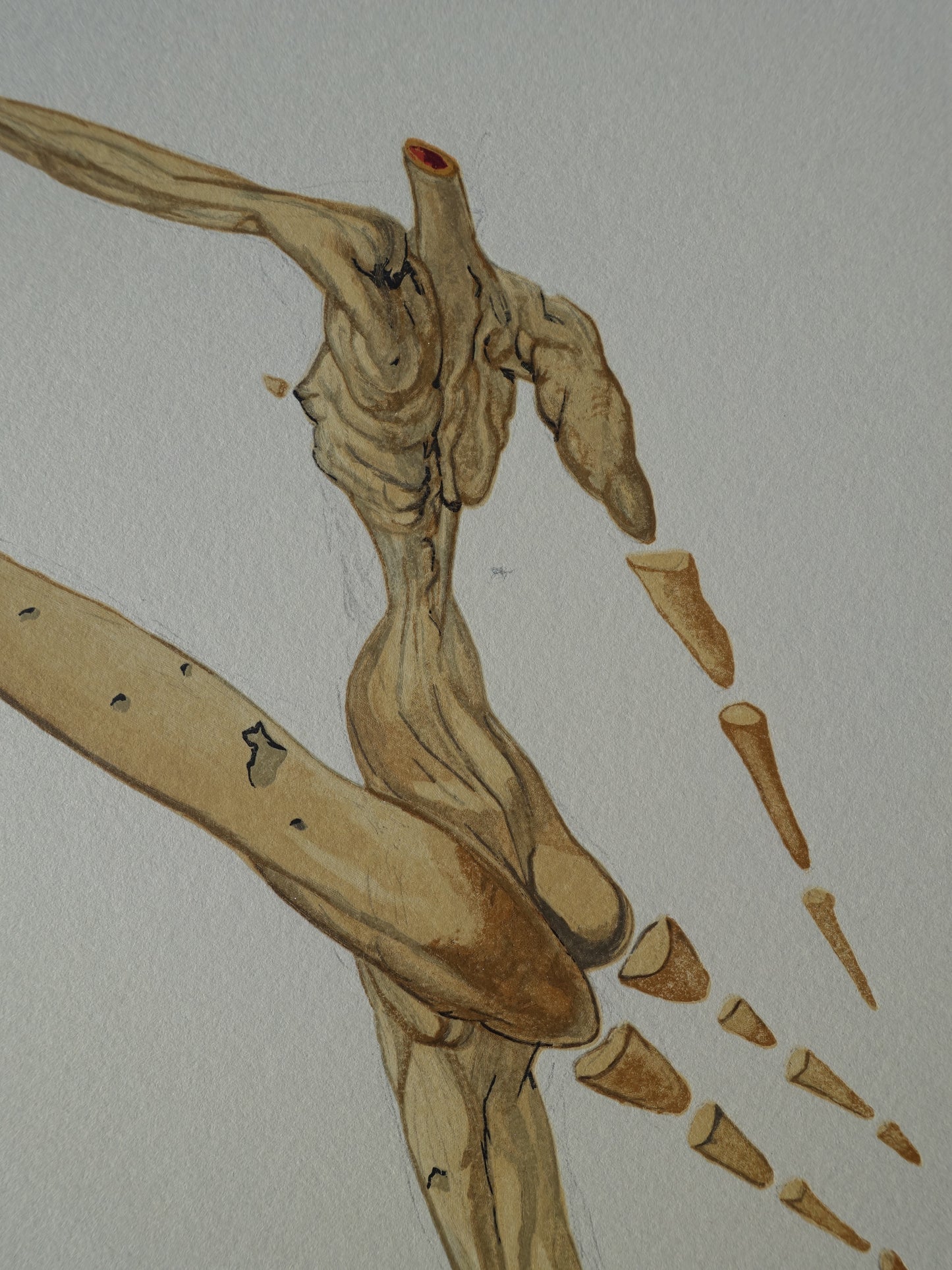 Salvador DALI : Bertrand de Horn - Bois gravé original