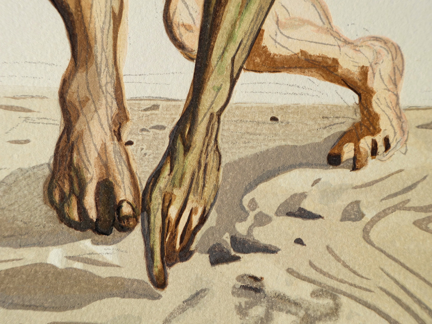Salvador DALI : Les princes de la vallée fleurie - Bois gravé original
