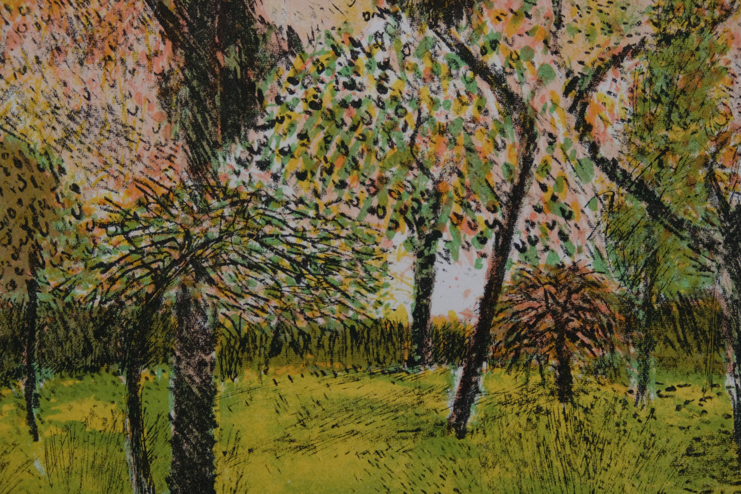 Guy BARDONE : Jardin en fleurs - Lithographie originale signée