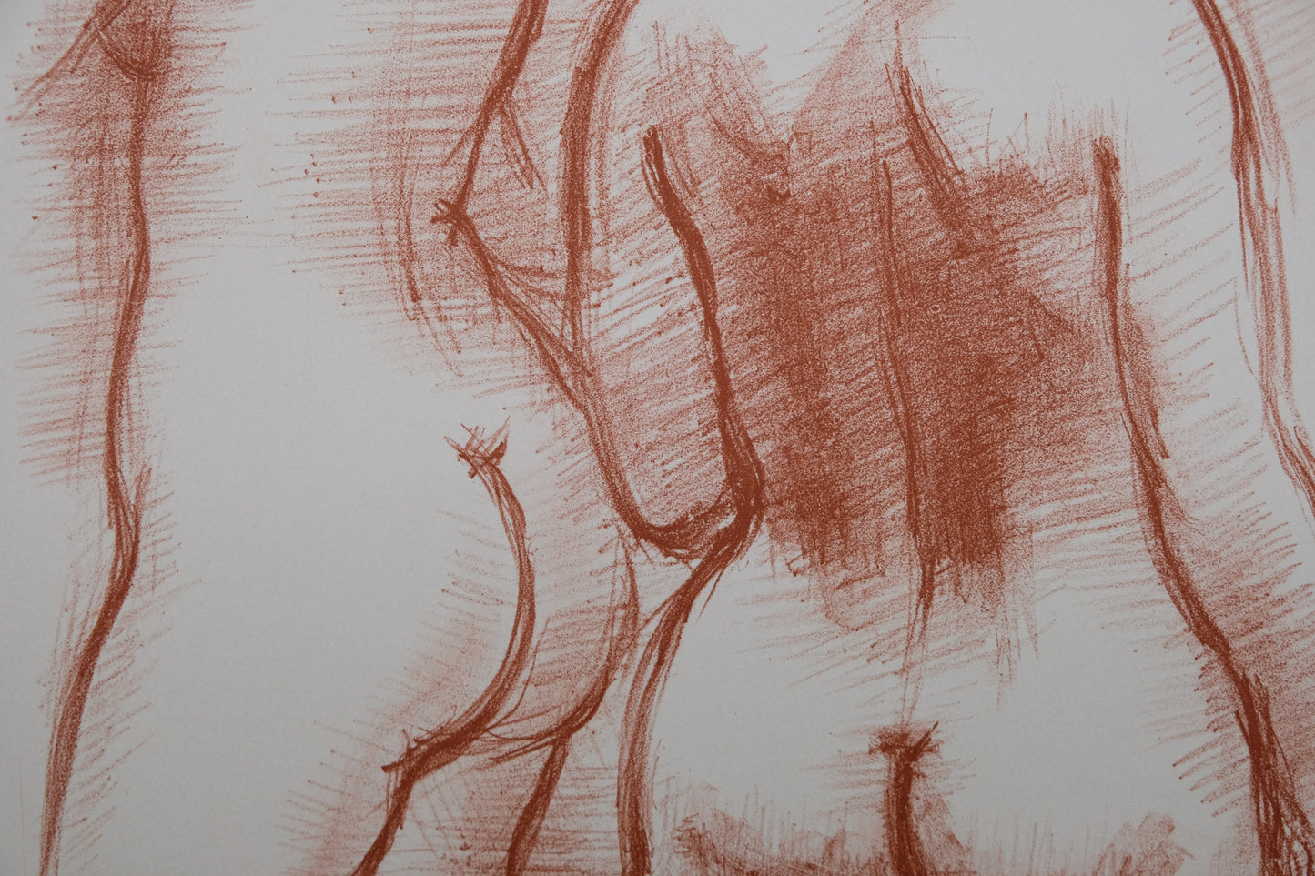Antoniucci VOLTI : Nus de dos - Lithographie originale