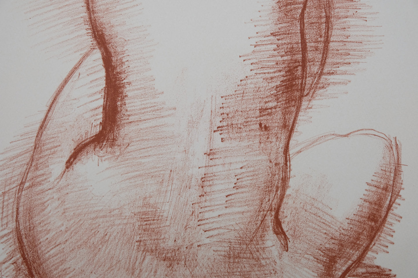 Antoniucci VOLTI : Nu de dos - Lithographie originale