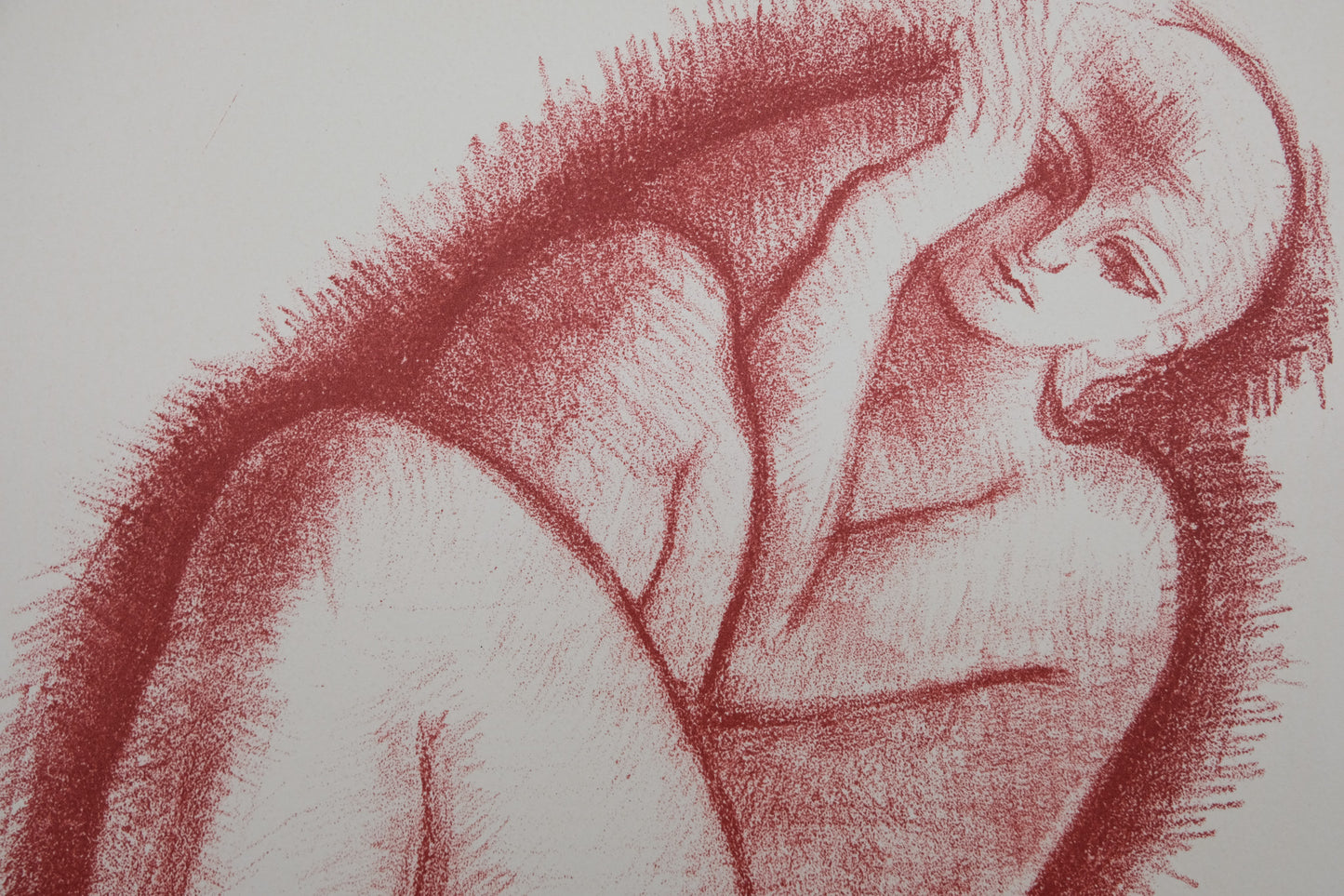 Antoniucci VOLTI : Femme au repos - Lithographie originale