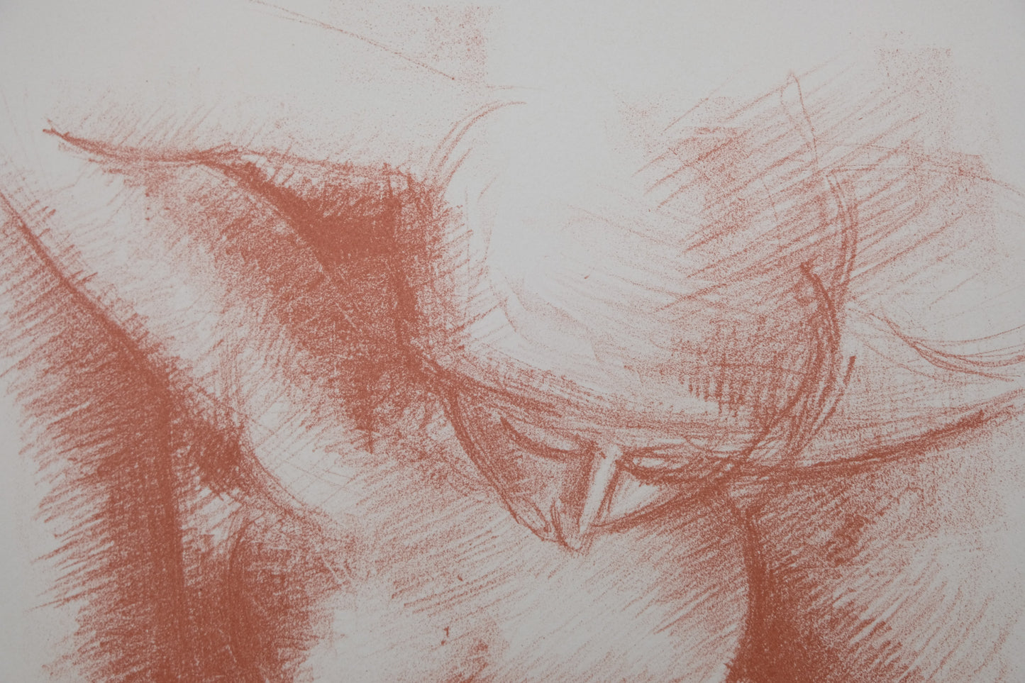 Antoniucci VOLTI : Nu au repos - Lithographie originale