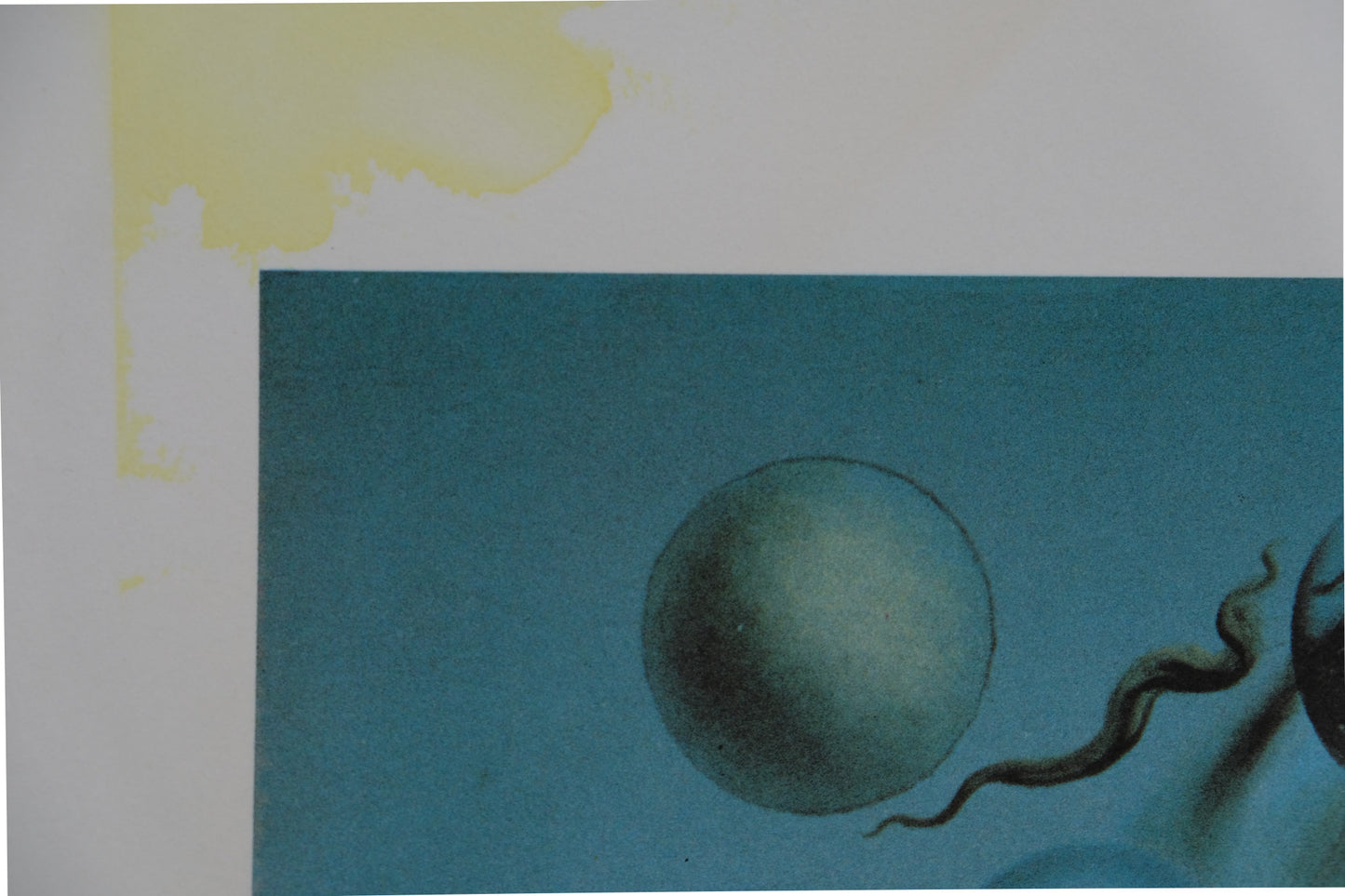 Salvador DALI : Galatea aux sphères - Lithographie signée