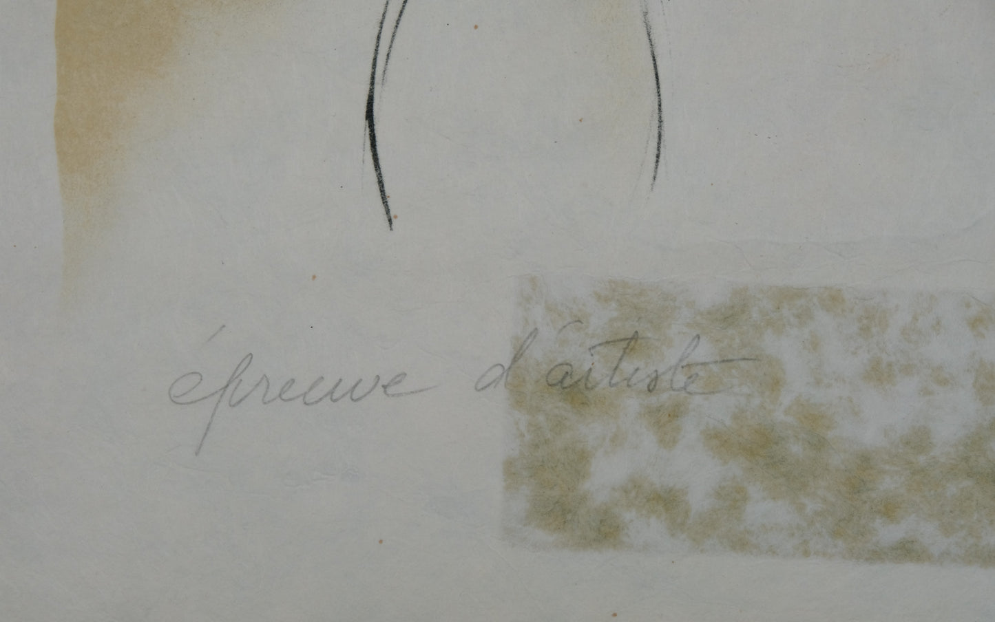 Bernard CHAROY : Sophie et son chapeau de fleurs - Lithographie originale signée