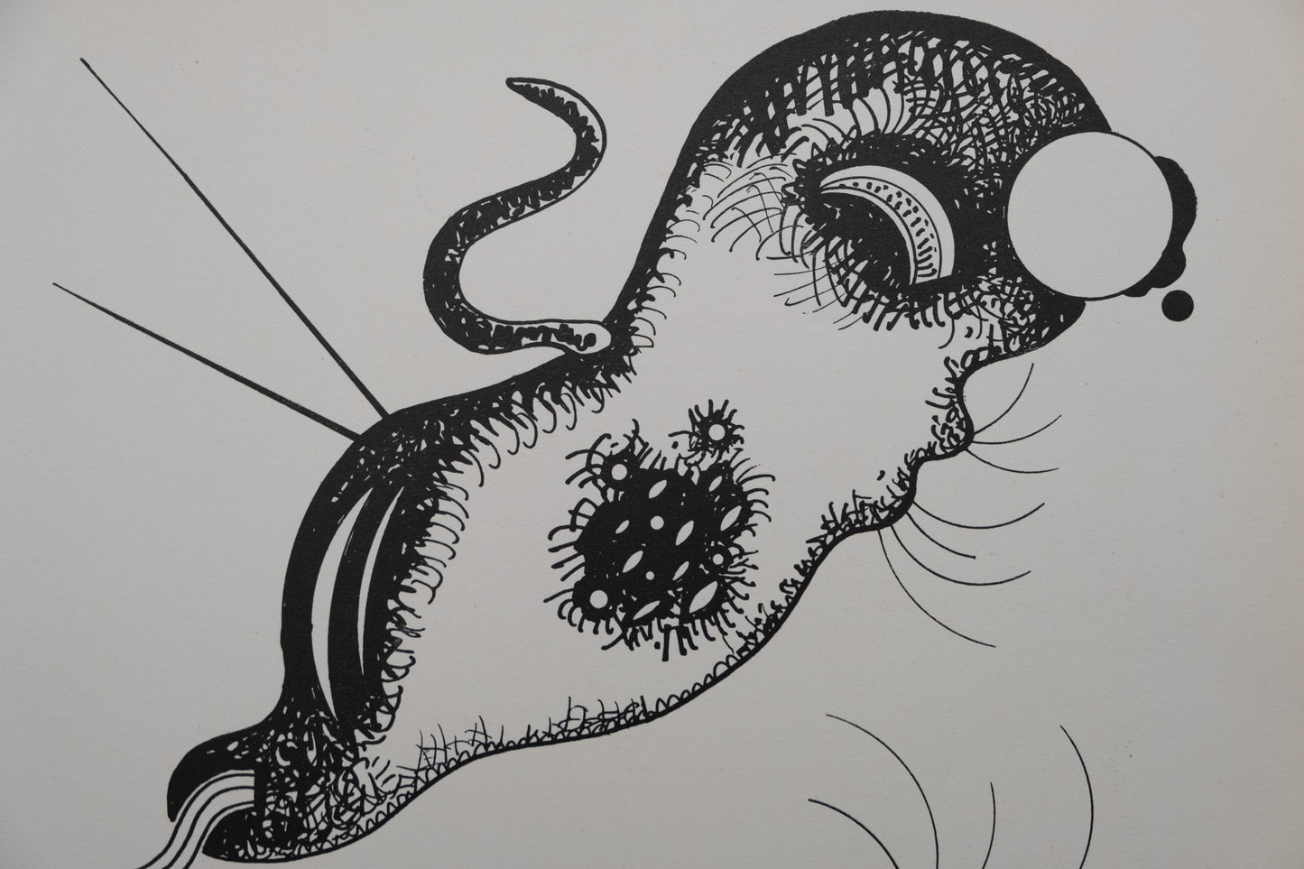 Vassily KANDINSKY : Composition aux deux visages - Lithographie signée