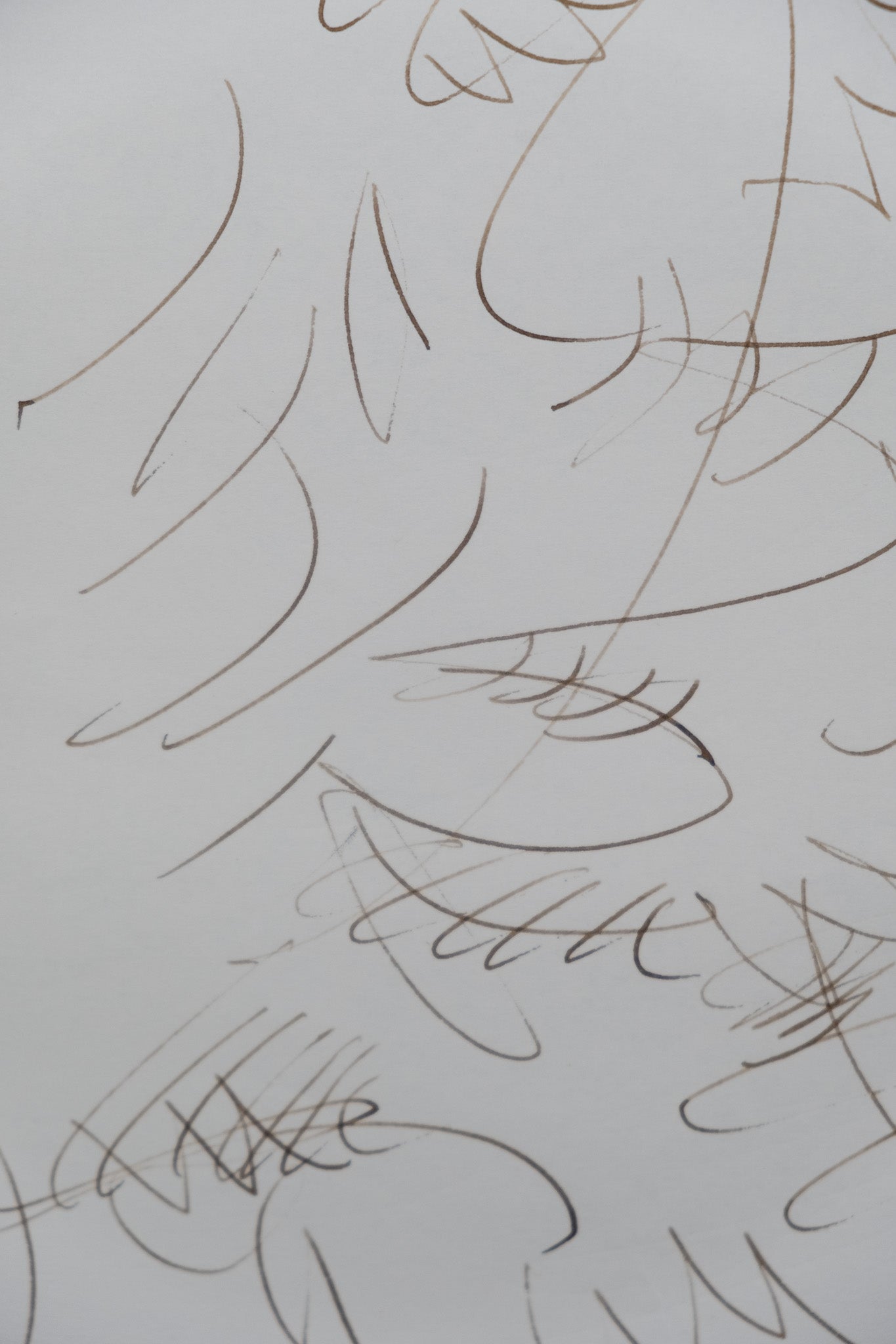 Dora MAAR : Composition végétale - Dessin original signé