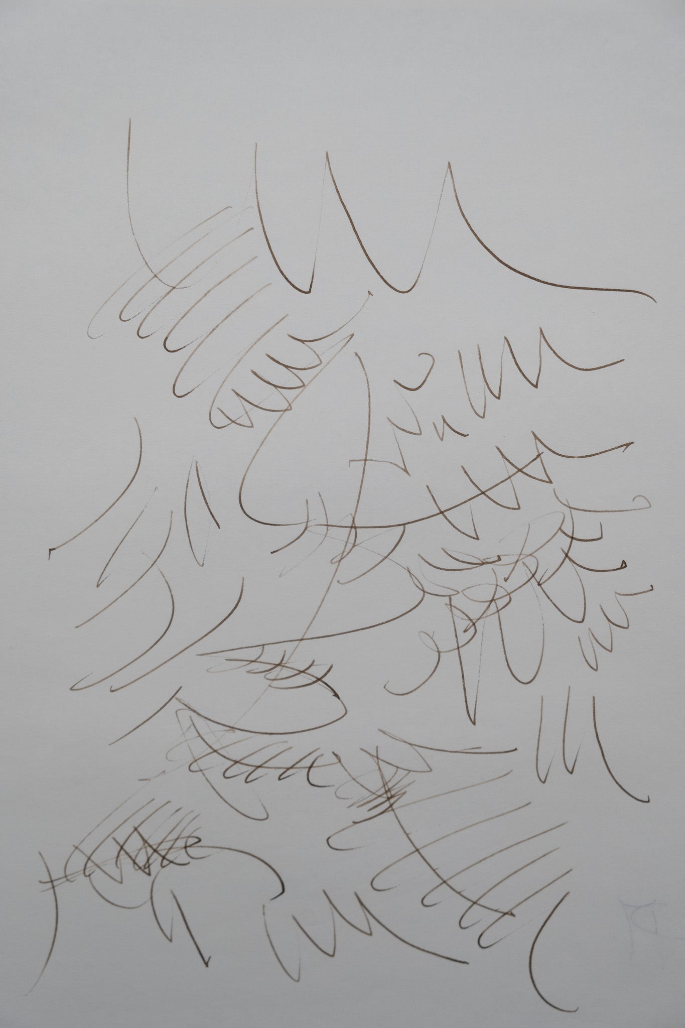 Dora MAAR : Composition végétale - Dessin original signé