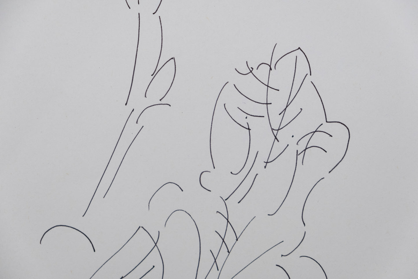 Dora MAAR : Composition florale - Dessin original signé