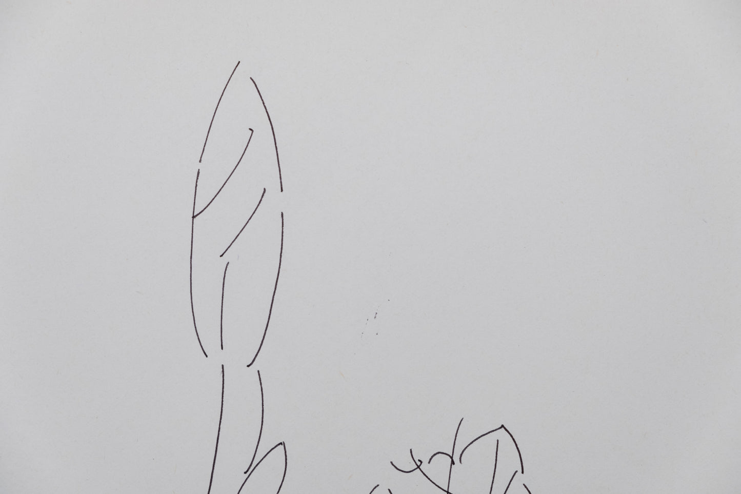 Dora MAAR : Composition florale - Dessin original signé