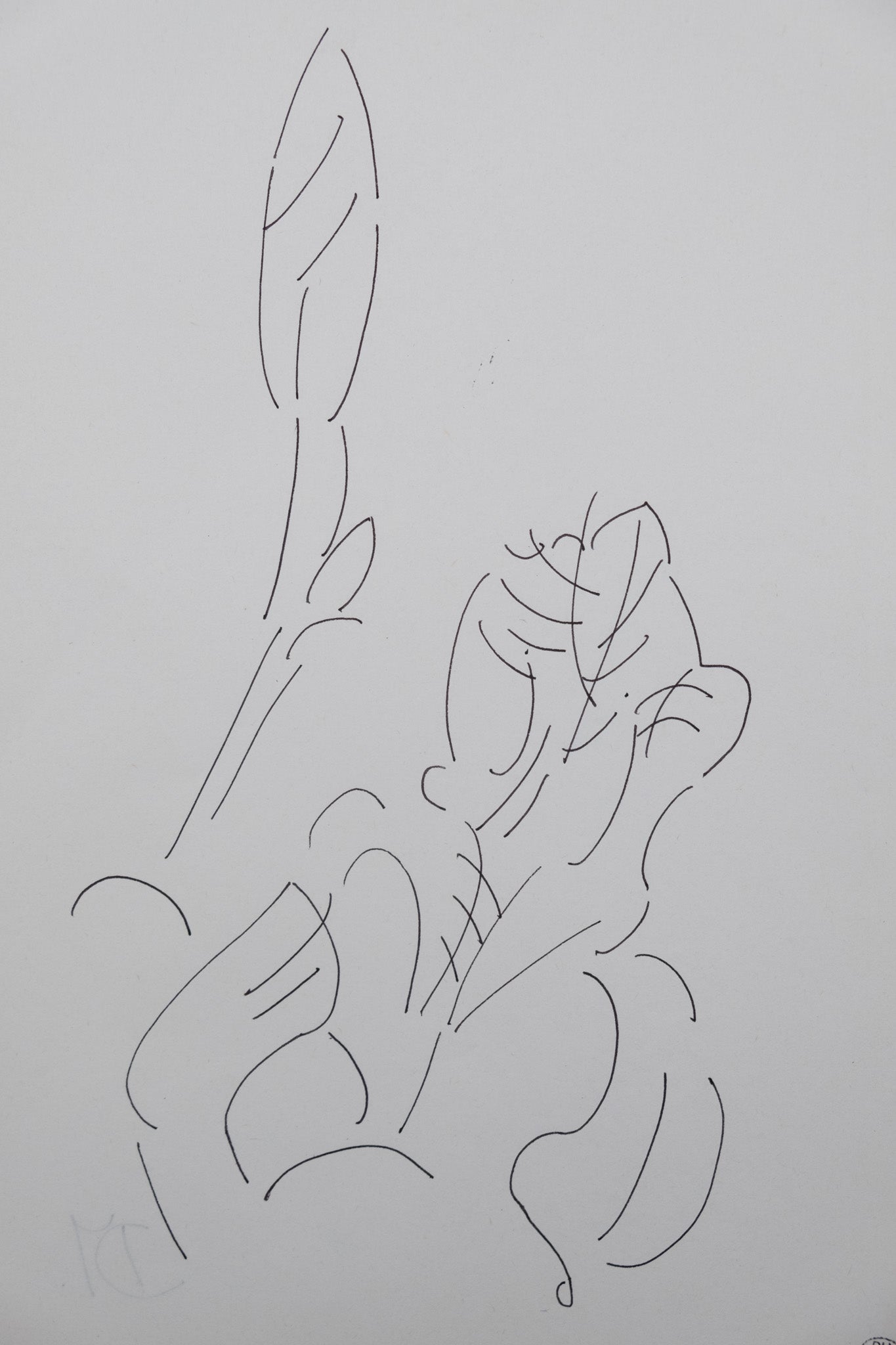 Dora MAAR : Composition florale - Dessin original signé