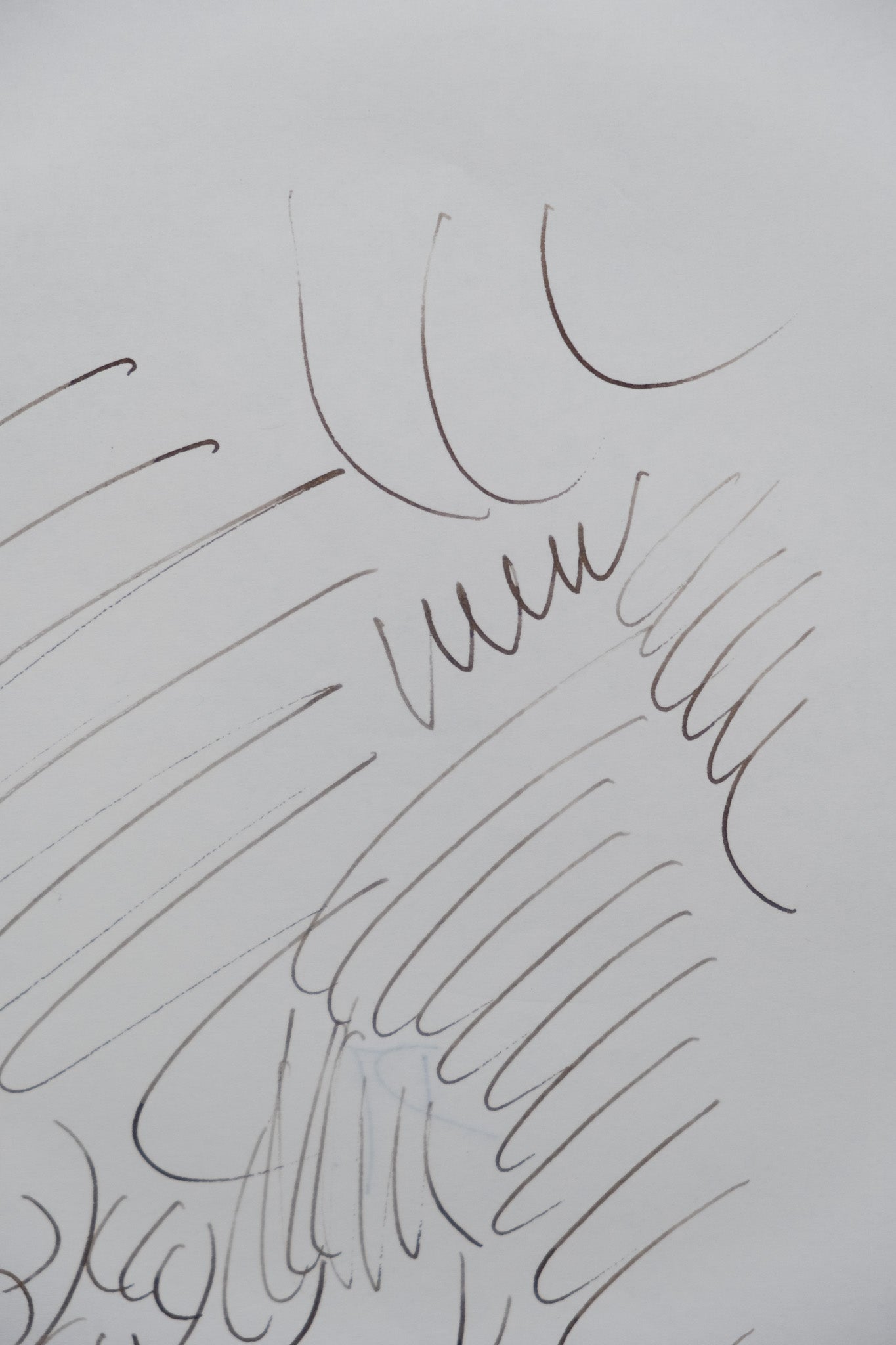 Dora MAAR : Forêt surréaliste - Dessin original signé