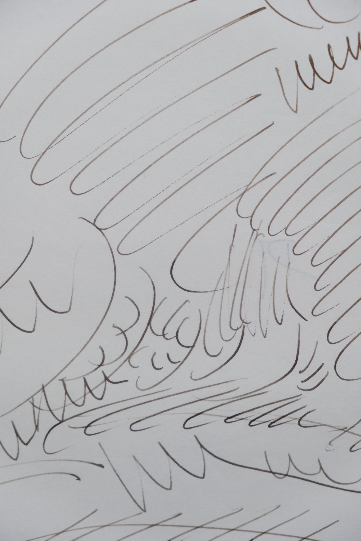 Dora MAAR : Forêt surréaliste - Dessin original signé
