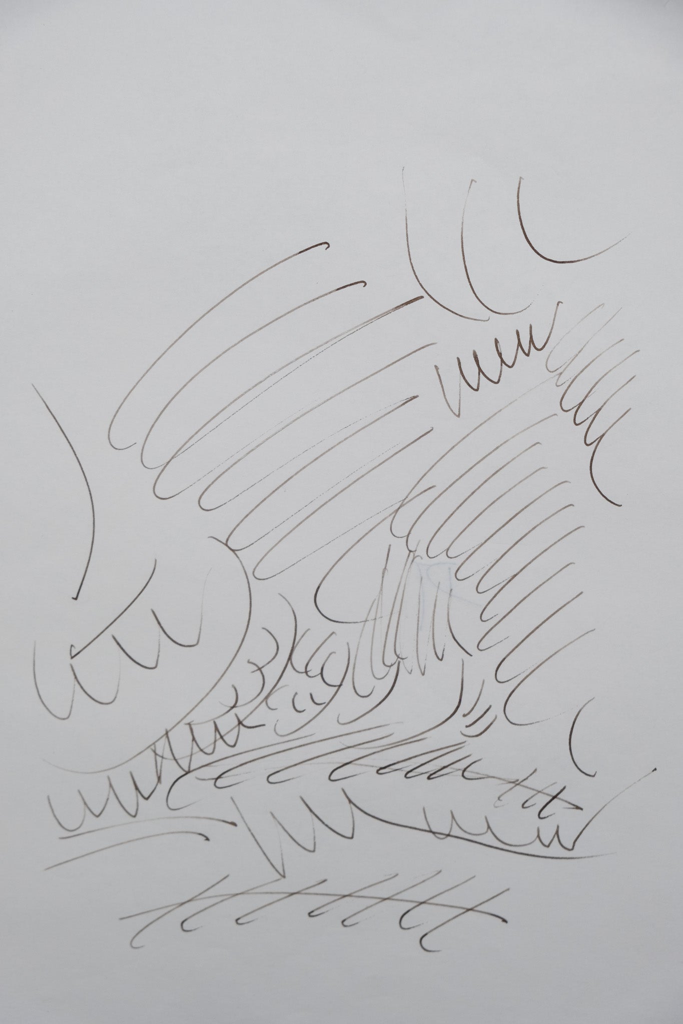 Dora MAAR : Forêt surréaliste - Dessin original signé