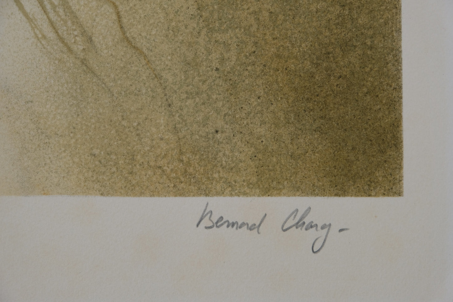 Bernard CHAROY : Nu de Virginie - Lithographie originale signée