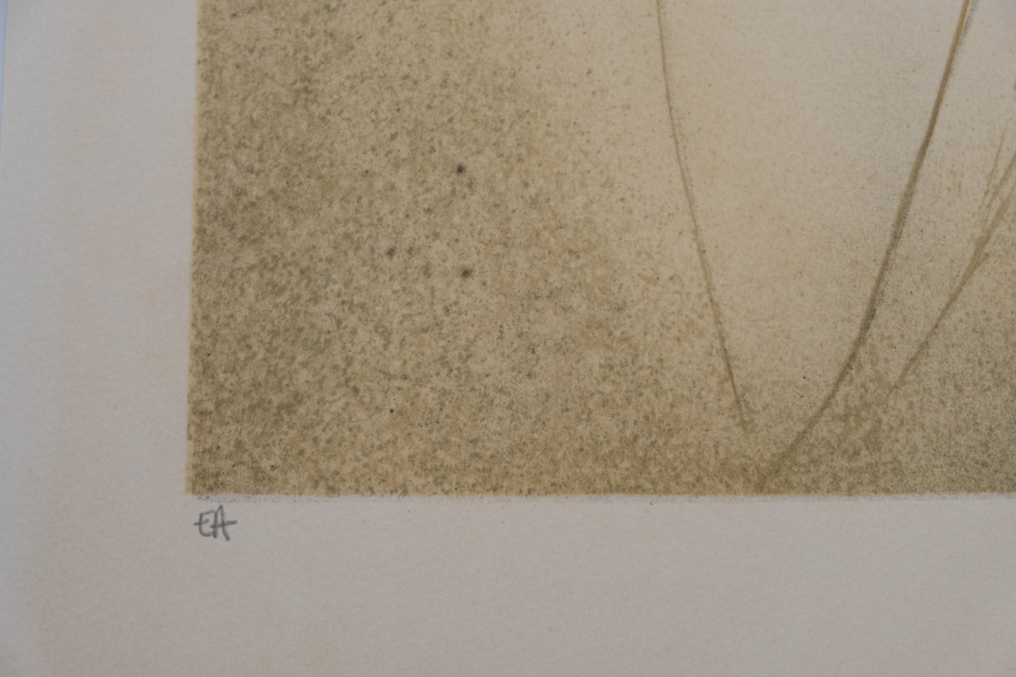 Bernard CHAROY : Nu de Virginie - Lithographie originale signée