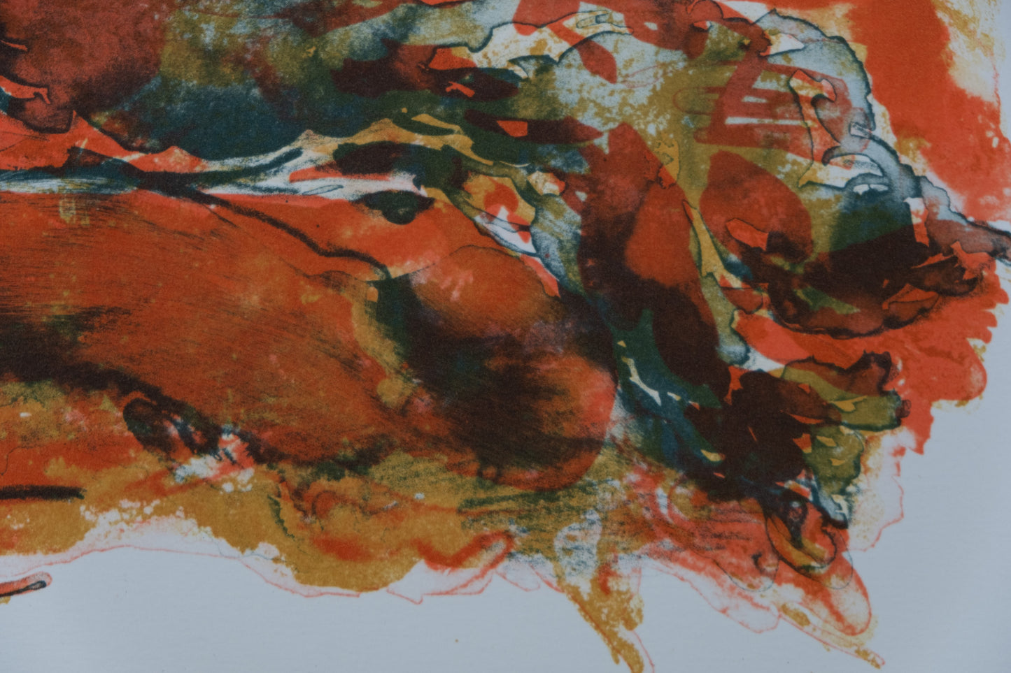Gérard DIAZ : Acacia africain - Lithographie originale signée