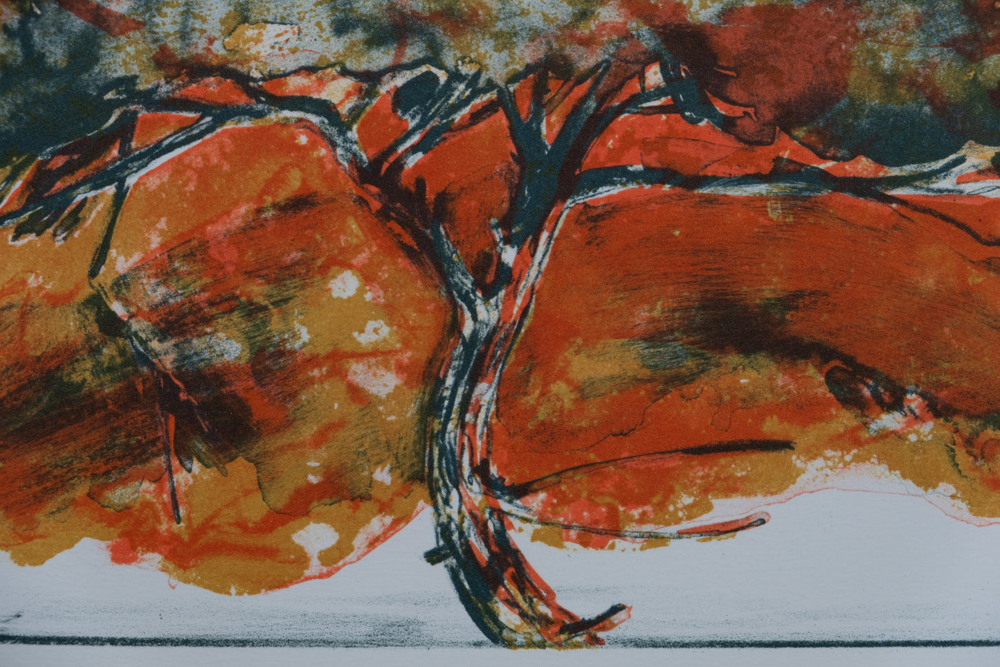 Gérard DIAZ : Acacia africain - Lithographie originale signée