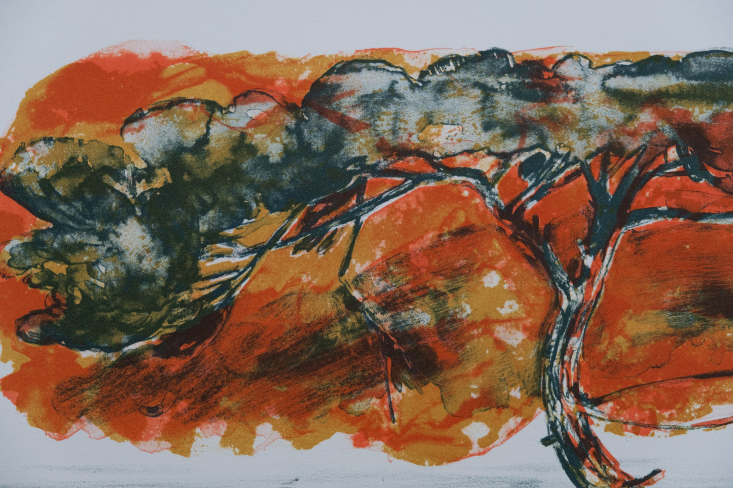 Gérard DIAZ : Acacia africain - Lithographie originale signée