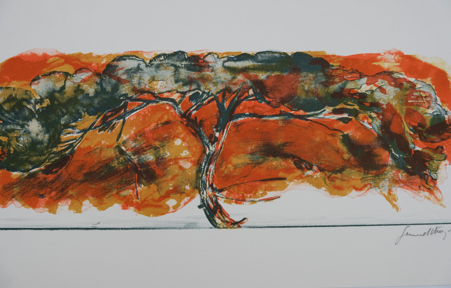 Gérard DIAZ : Acacia africain - Lithographie originale signée