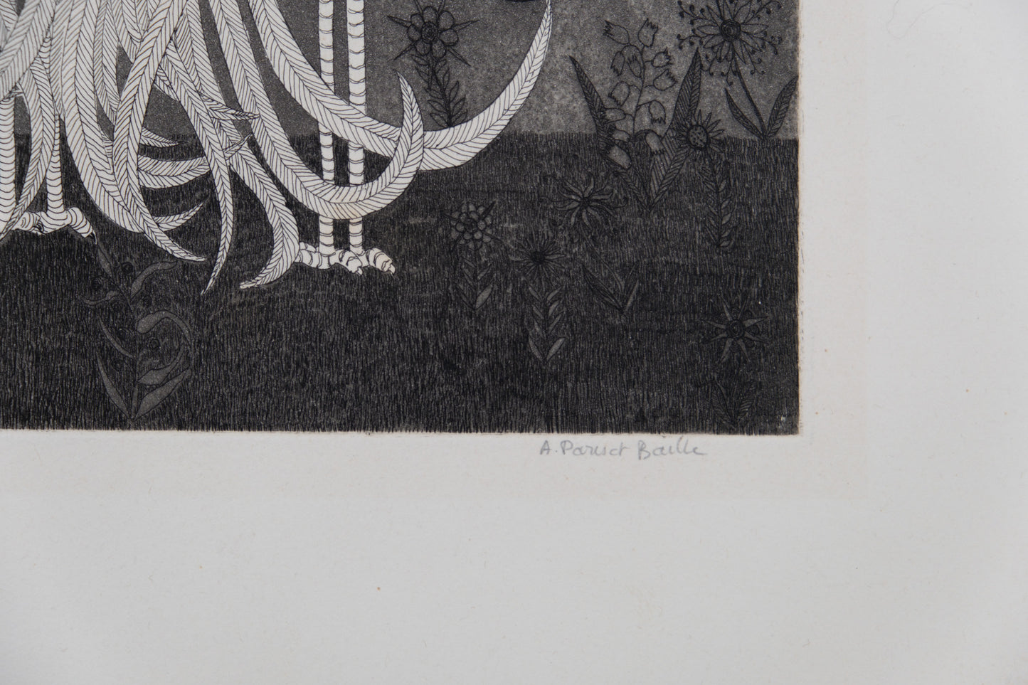Anne PARISOT BAILLE : Parade nuptiale - Gravure originale signée