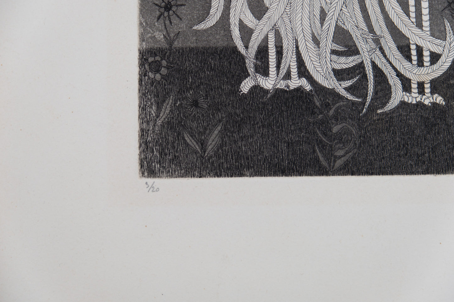 Anne PARISOT BAILLE : Parade nuptiale - Gravure originale signée