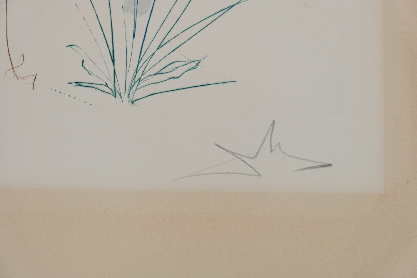 Salvador DALI : Retour de la Sulamite - Gravure originale signée