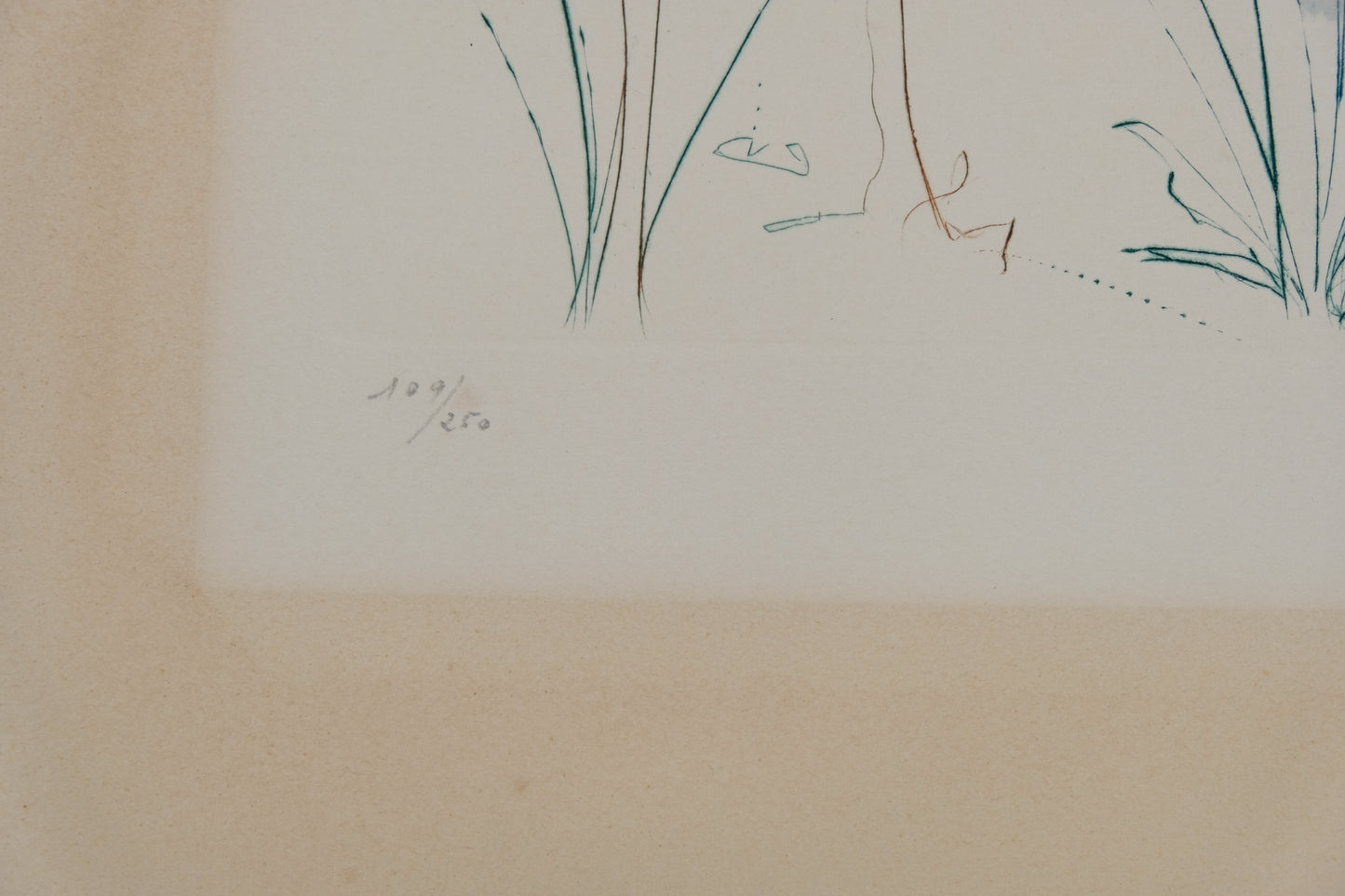 Salvador DALI : Retour de la Sulamite - Gravure originale signée