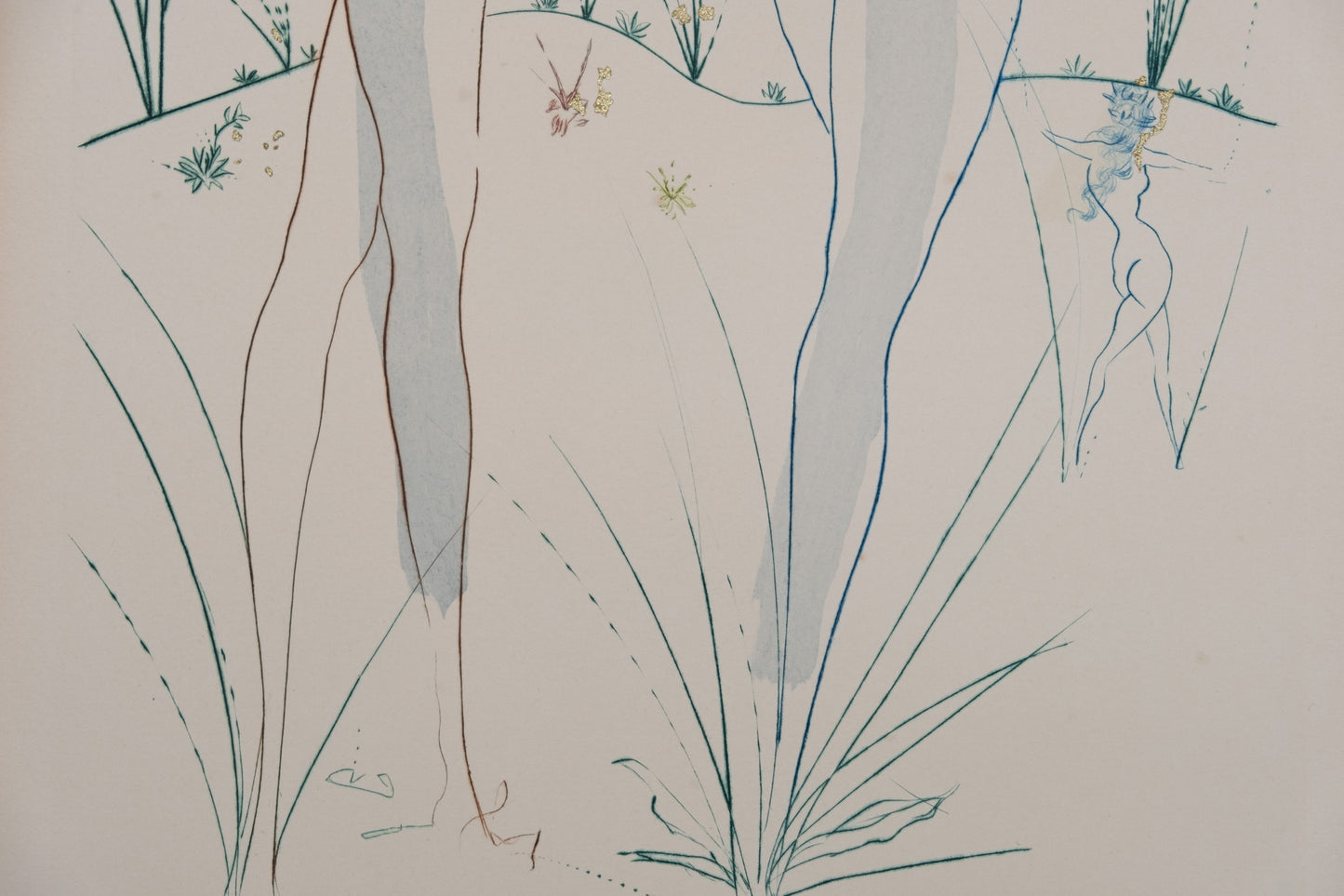 Salvador DALI : Retour de la Sulamite - Gravure originale signée