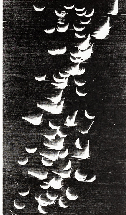 Hans HARTUNG : L'envolée - Lithographie originale