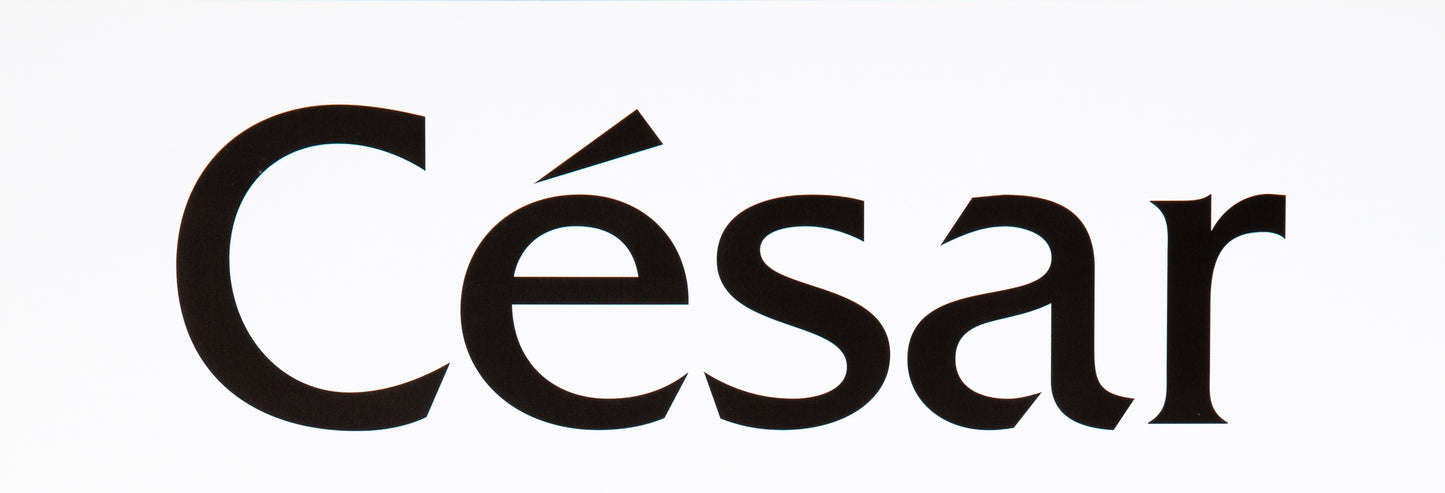 CESAR : Expo 2002 - Affiche originale en couleurs