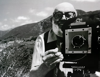 APPLE Think Different : Ansel ADAMS - Affiche originale