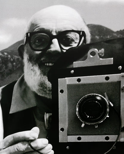 APPLE Think Different : Ansel ADAMS - Affiche originale