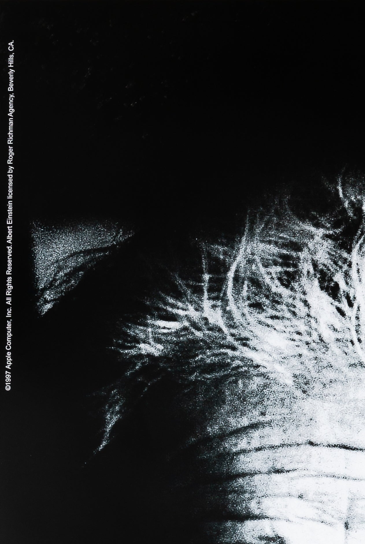 APPLE Think Different : Albert EINSTEIN - Affiche originale