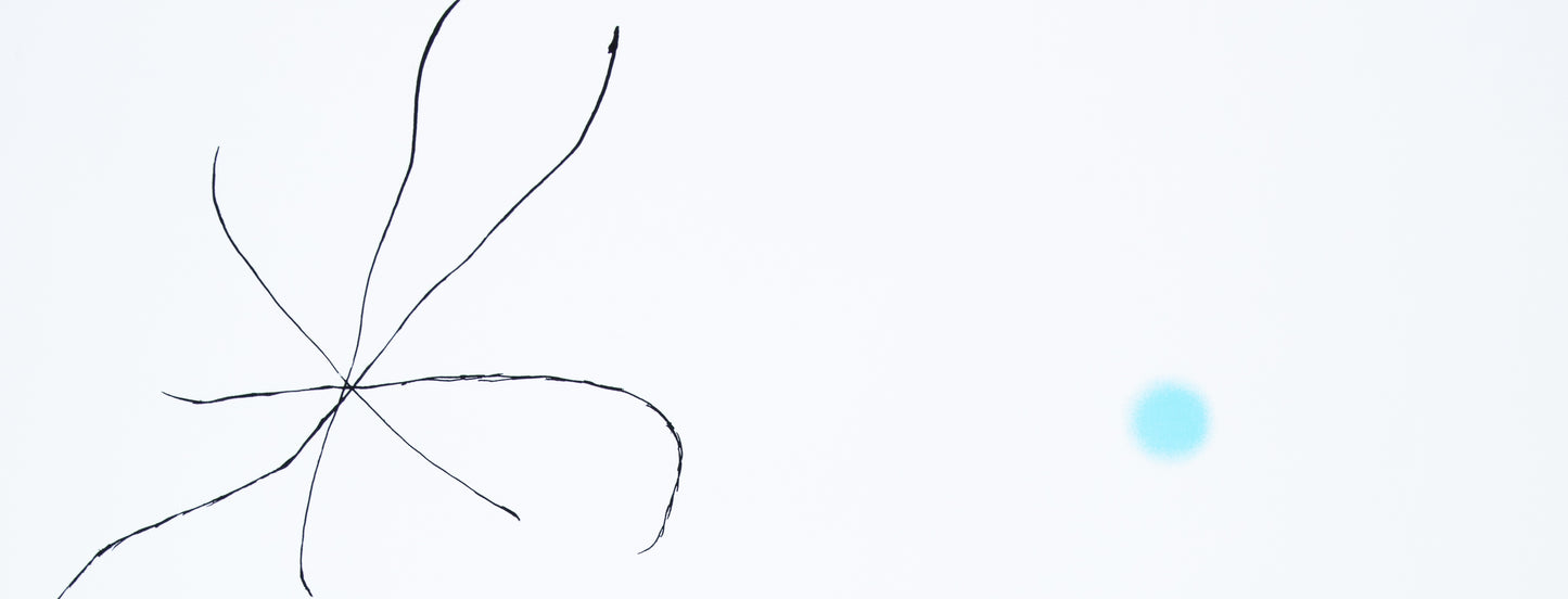 Joan MIRO: Jardín español con la estrella, Serigrafía firmada