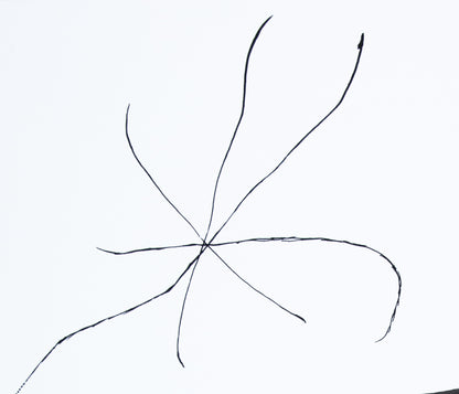 Joan MIRO: Jardín español con la estrella, Serigrafía firmada