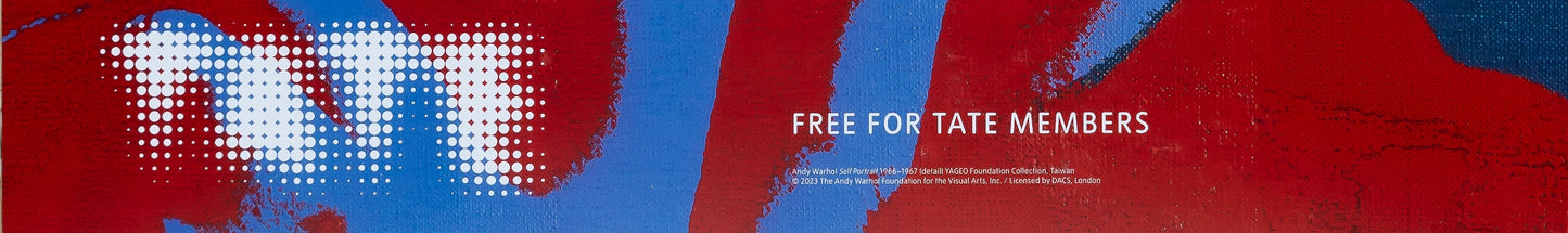 Andy WARHOL : Capturing the moment - Affiche originale