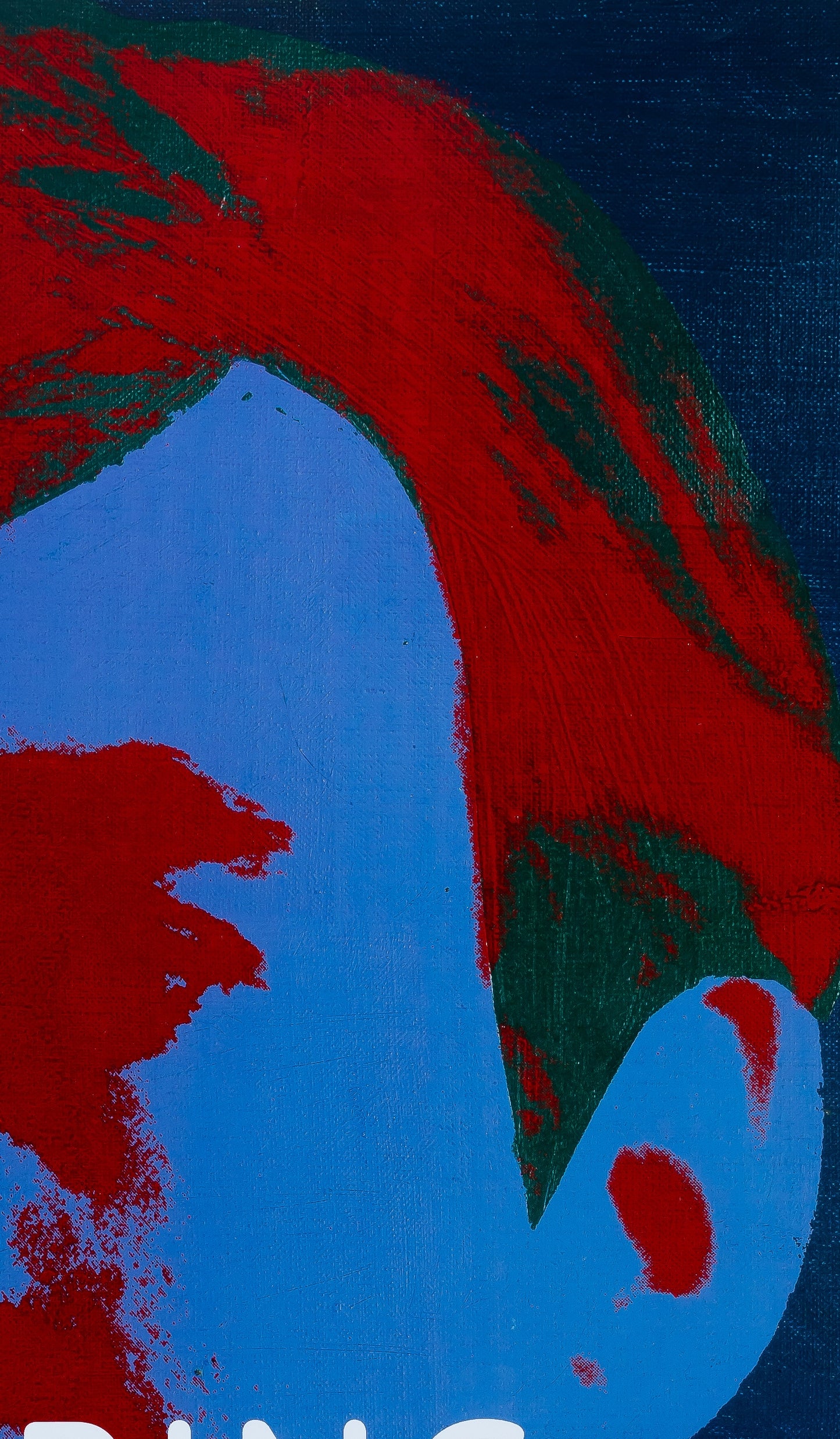 Andy WARHOL : Capturing the moment - Affiche originale