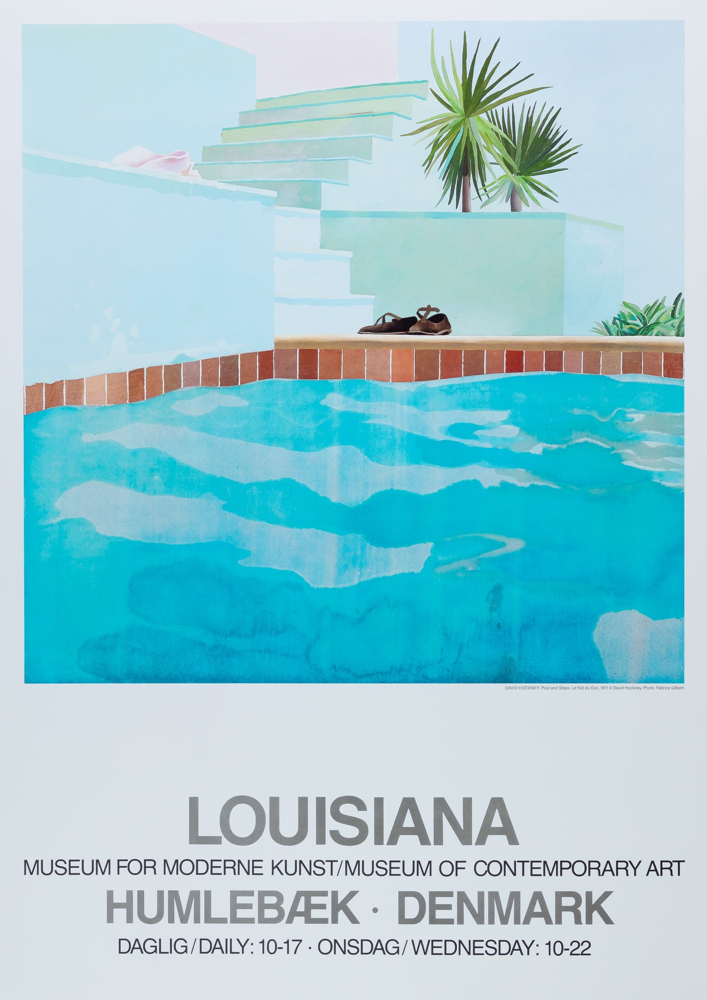 David HOCKNEY : Pool and Steps - Affiche originale