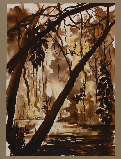 Jacques NOURY : Sous-bois en clair obscur - Aquarelle originale signée