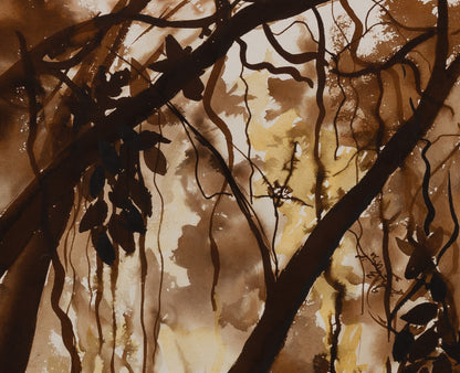 Jacques NOURY : Sous-bois en clair obscur - Aquarelle originale signée
