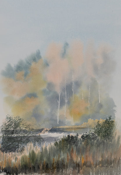 Jacques NOURY : Paysage - Aquarelle originale signée